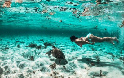 Quelques lieux et activites a ne pas manquer en Guadeloupe
