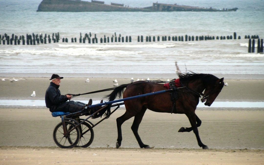 Visiter la Normandie, que voir ?