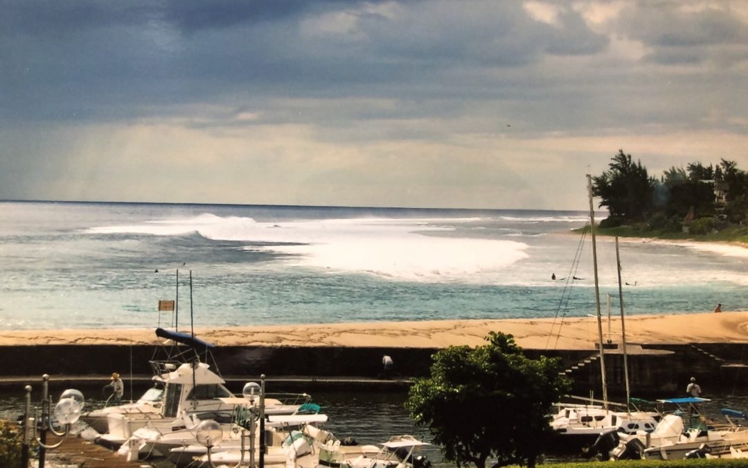 Partir à la réunion, comment s’organiser ?